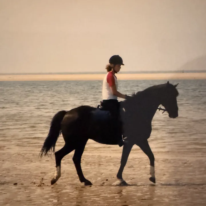 Reiterin auf einem dunklen Pferd im flachen Wasser am Strand